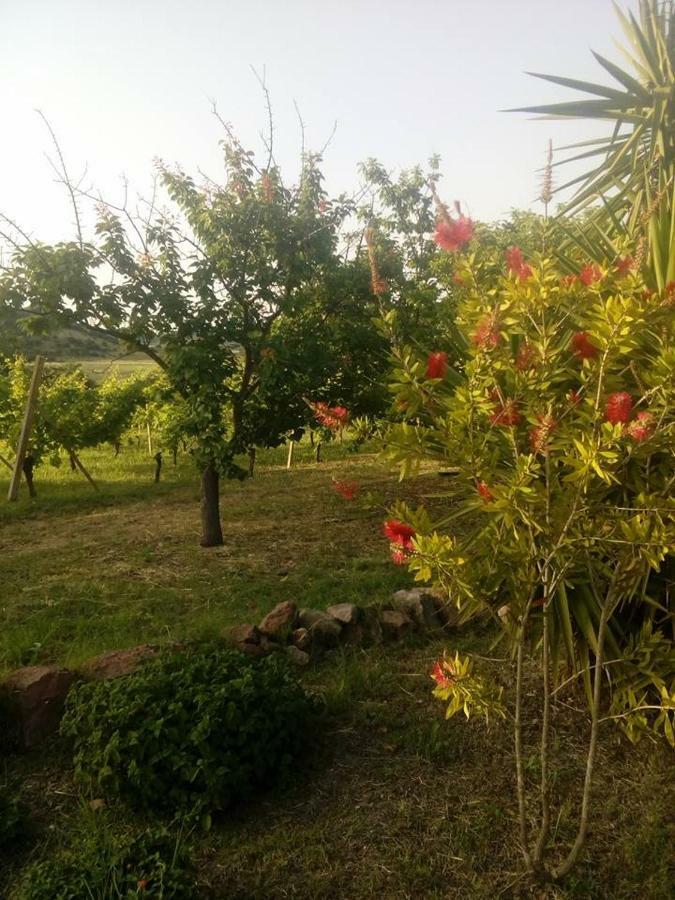 Residenza Agrituristica Santa Lucia Con Piscina Lejlighed Alghero Eksteriør billede